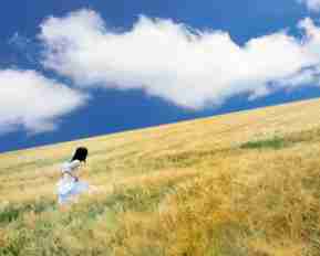 快‍速‍网​站​模‌板‍插﻿件​有﻿哪‌些﻿